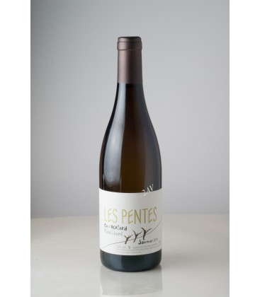Saumur blanc Les Pentes Domaine des Roches Neuves Thierry Germain 2016