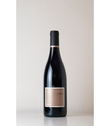 Vin de Pays de Collines Rhodaniennes Syrah Frontière Domaine Julien Pilon 2016