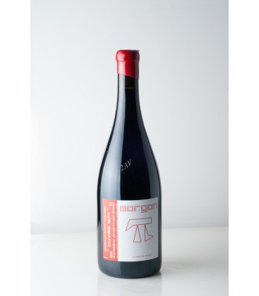 Morgon "Cuvée 3.14" Domaine Jean Foillard 2018