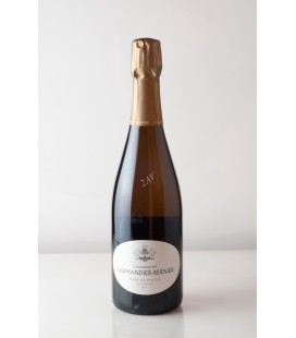 Champagne Terre de Vertus non dosé Premier Cru Larmandier - Bernier 2009